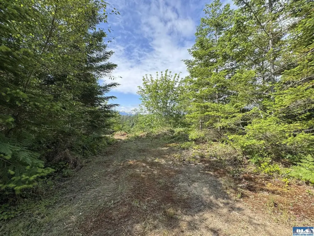 Picture 20