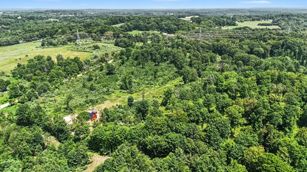 Picture 23