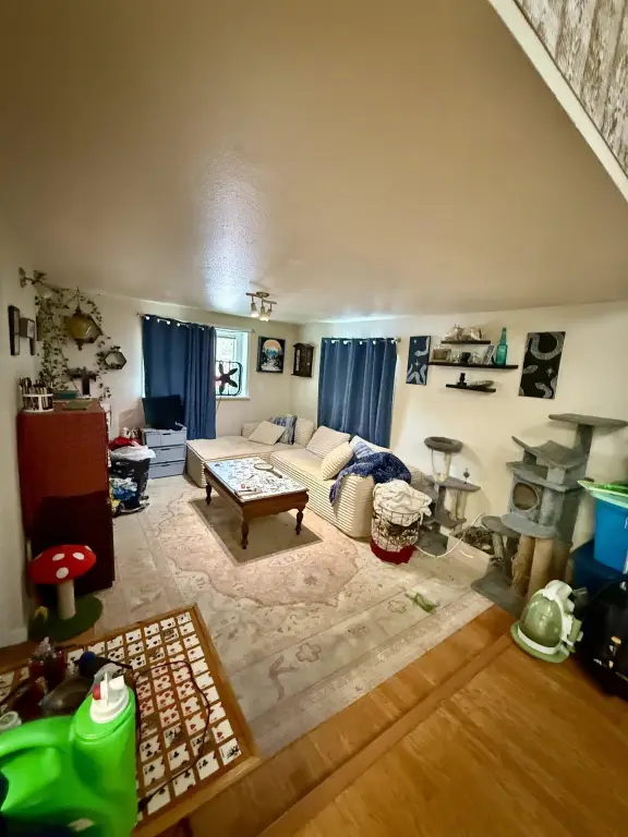 Picture 20