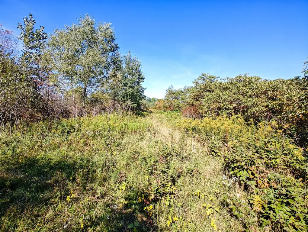 Picture 19