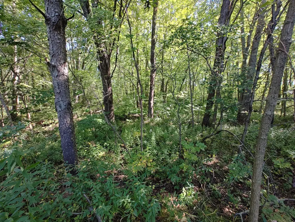 Picture 20