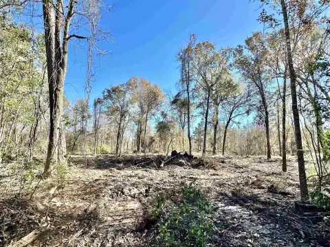 Residential Lot in China, TX