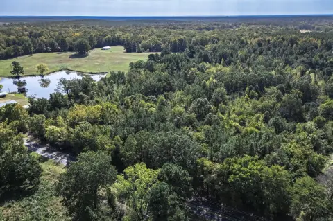 20 Acres of Hardwood Timber