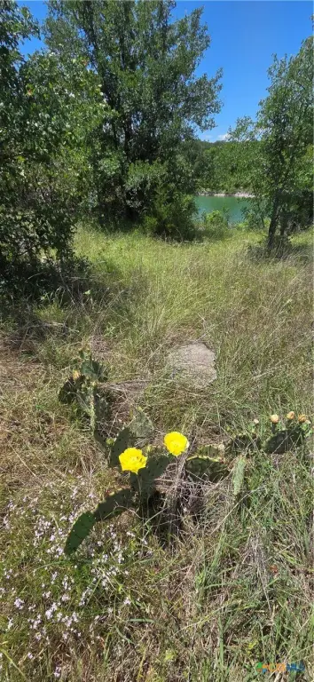 Picture 3
