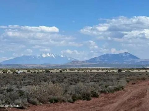 Williams, AZ High Desert Land