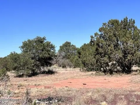 Land in Williams, Arizona