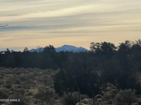 Woodland Ranch Land Near Grand Canyon