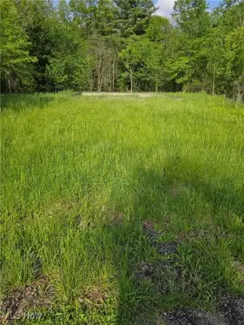 Land in Lexington Township