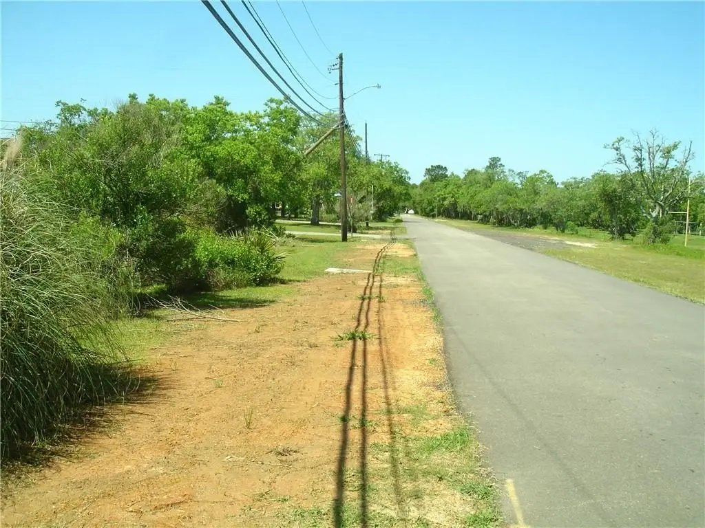 Picture 15