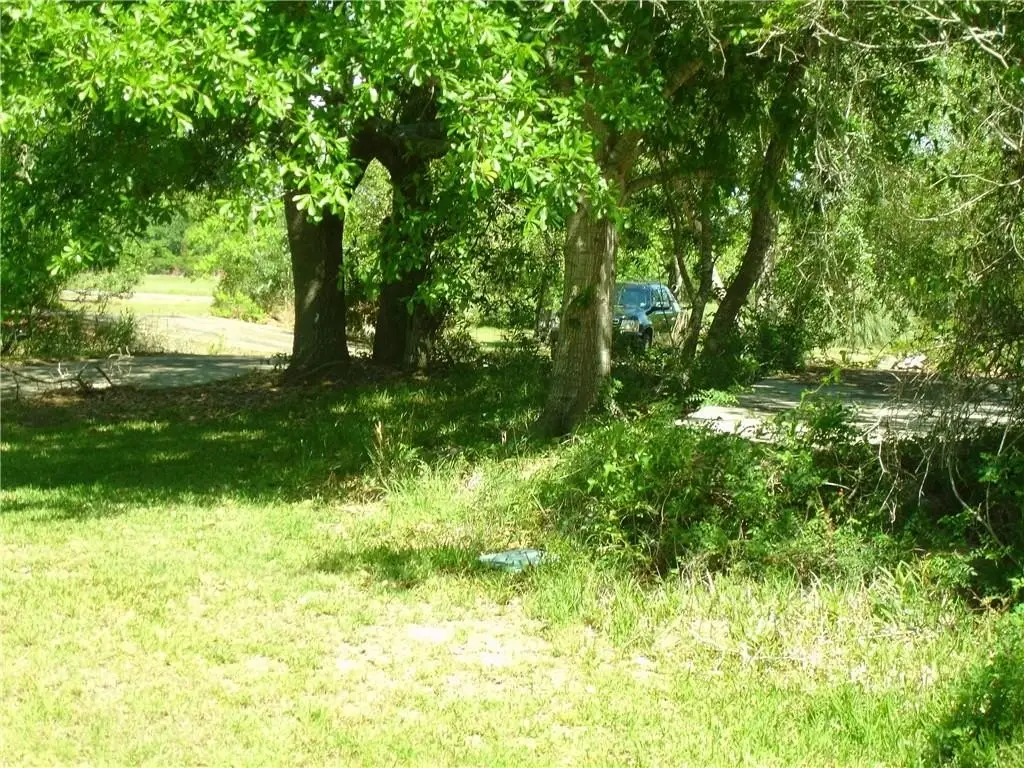 Picture 9
