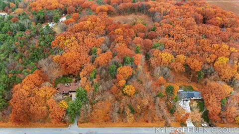 Wooded Vacant Lot in Holland