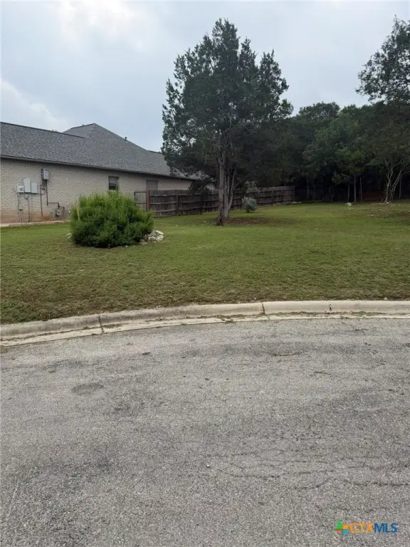 Picture 5
