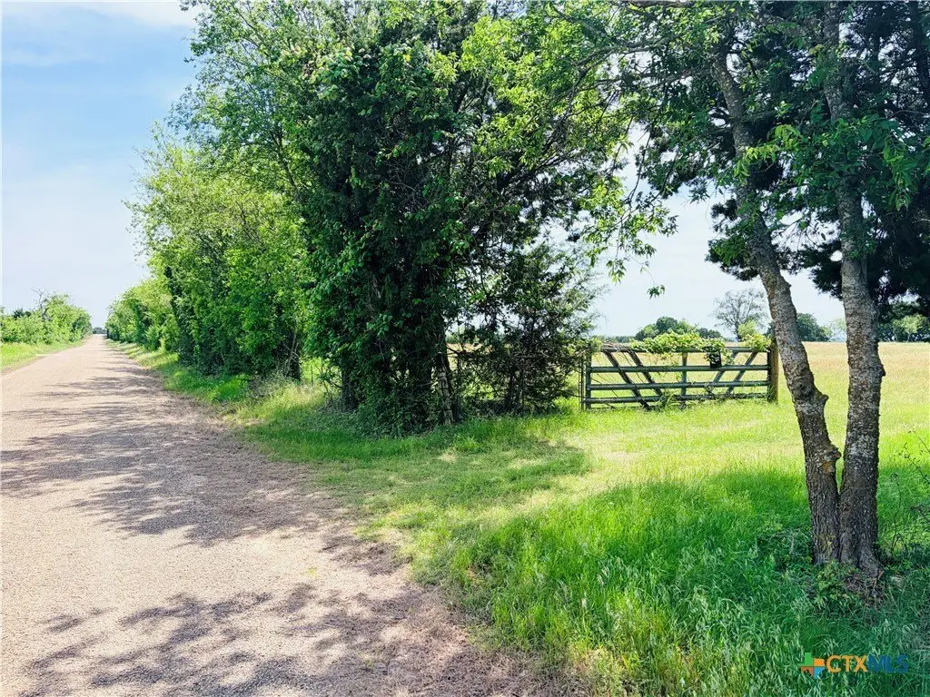 Picture 9