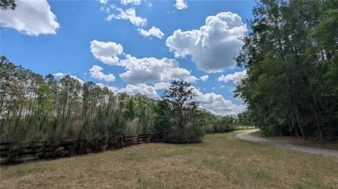 Gainesville Land Parcel Near Preserve