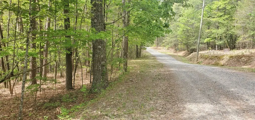 Picture 6