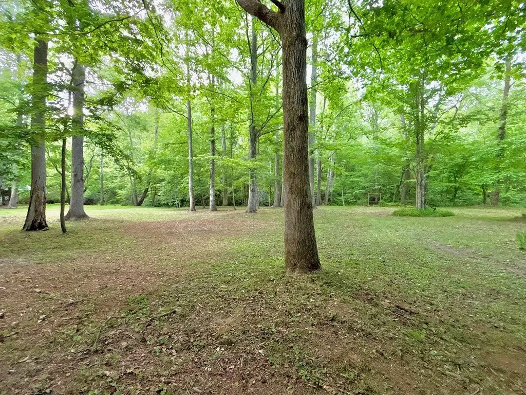 Picture 23