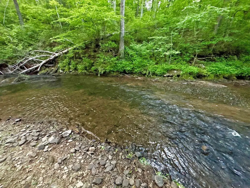 Picture 35