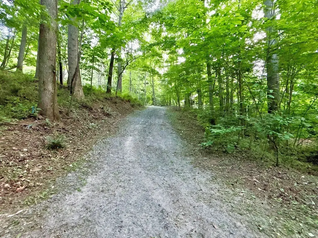Picture 28