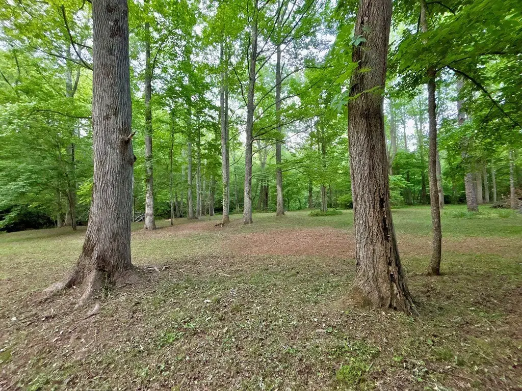 Picture 27