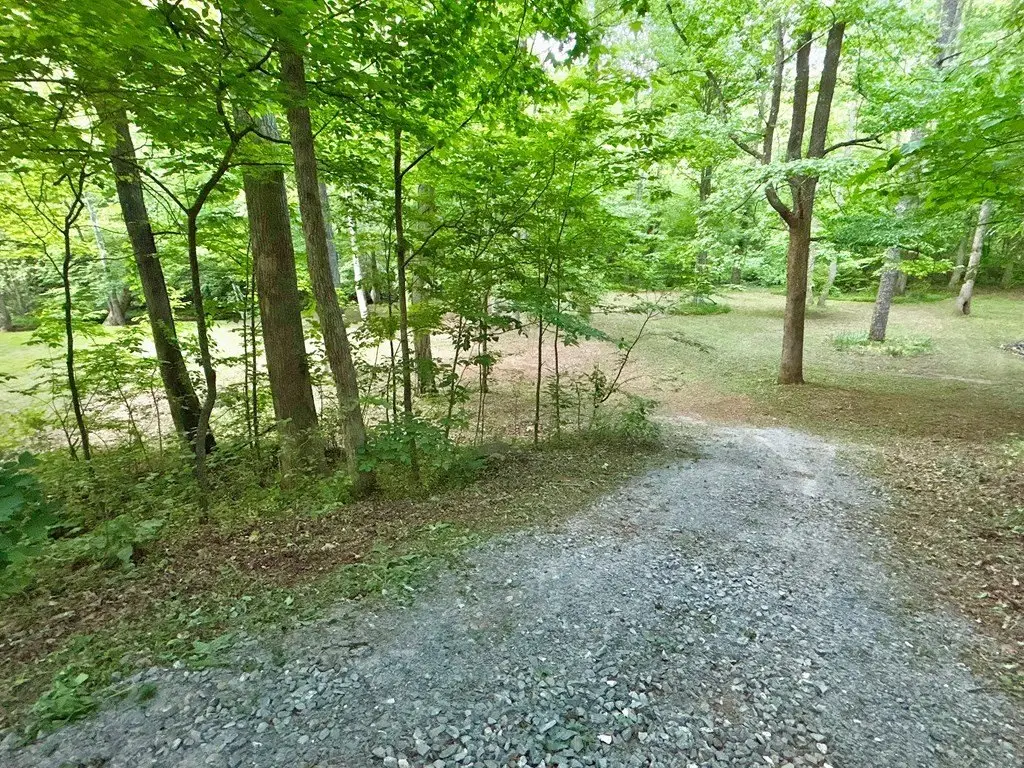 Picture 24