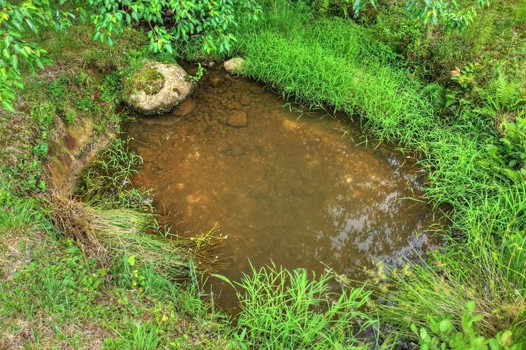 Picture 16