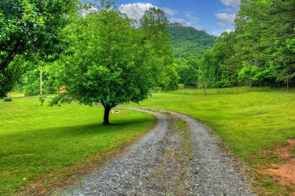 Picture 24