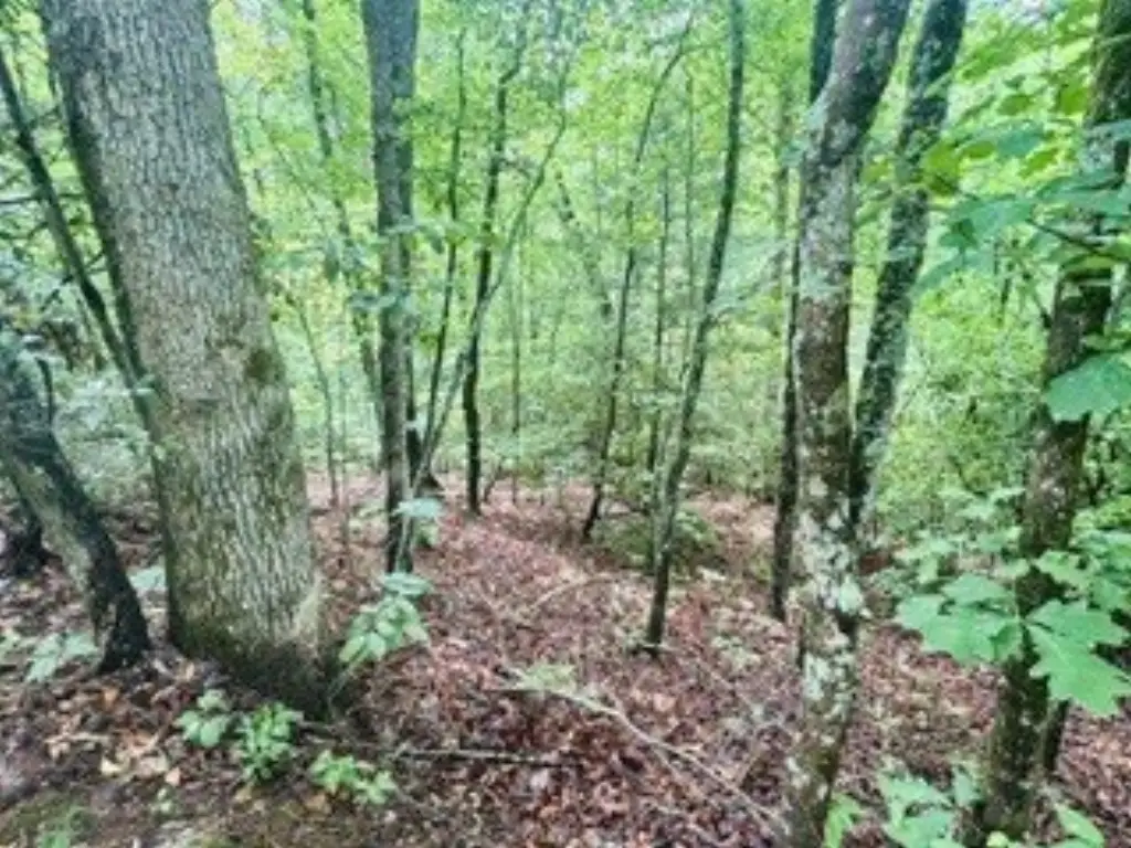 Picture 4