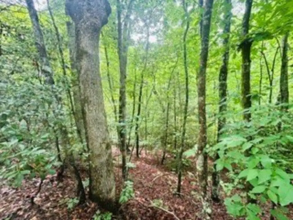 Picture 3