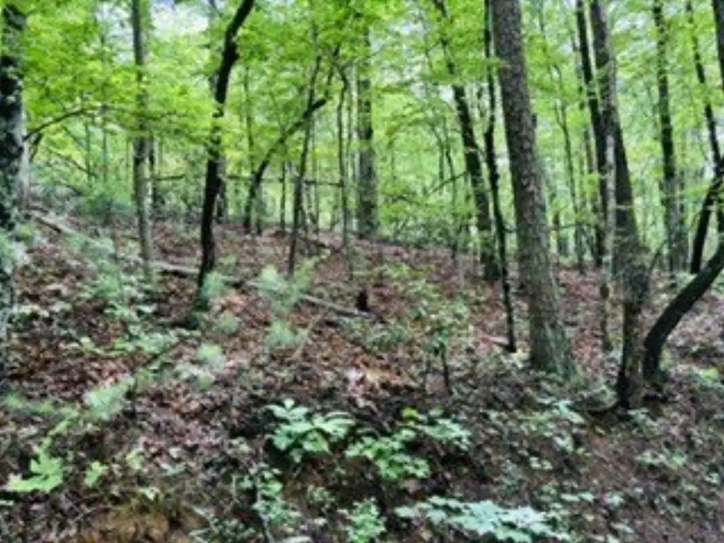 Picture 4