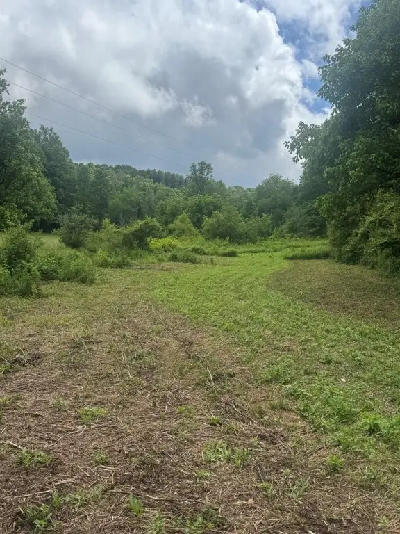 Picture 14