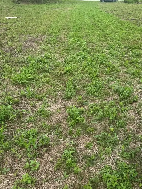 Picture 25