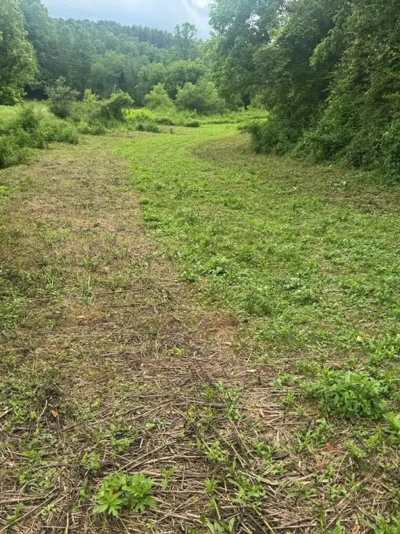 Picture 13