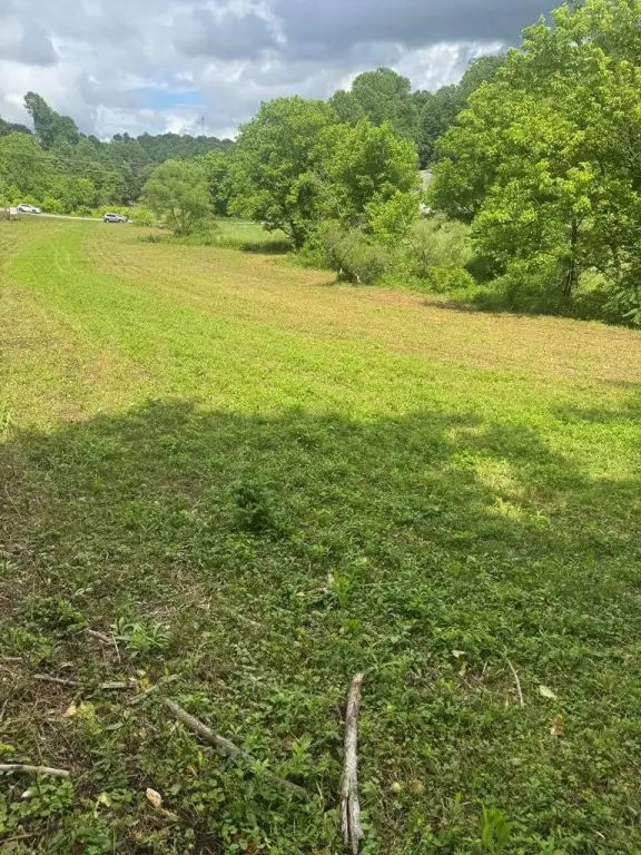 Picture 21
