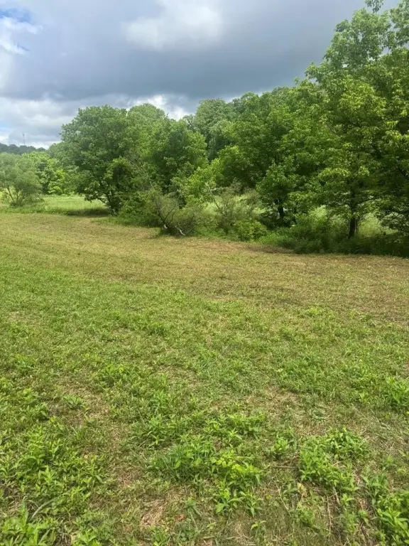 Picture 23