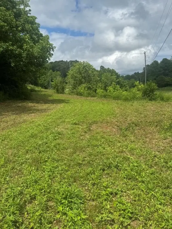 Picture 16