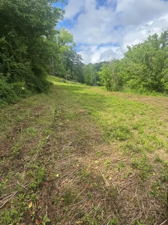 Picture 19