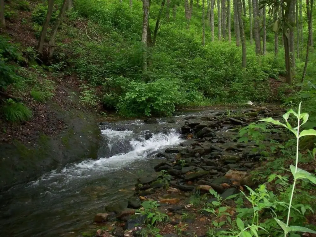 Picture 10