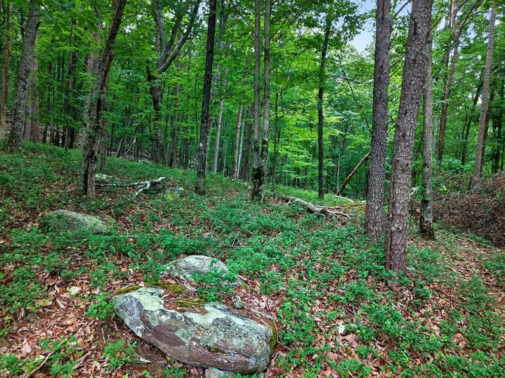 Picture 21