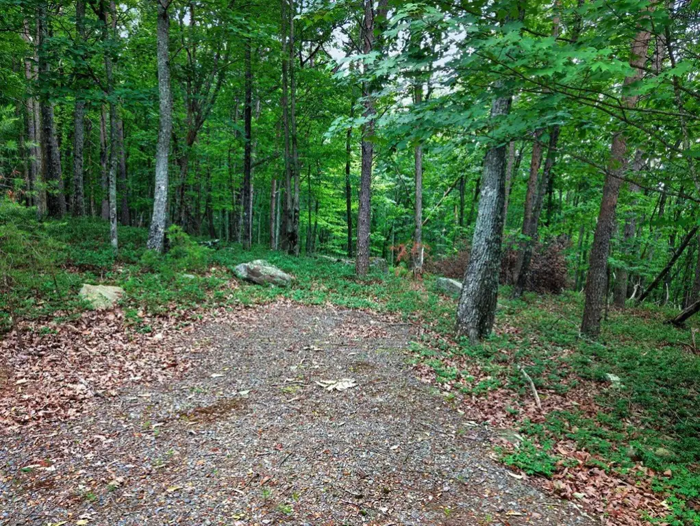 Picture 19