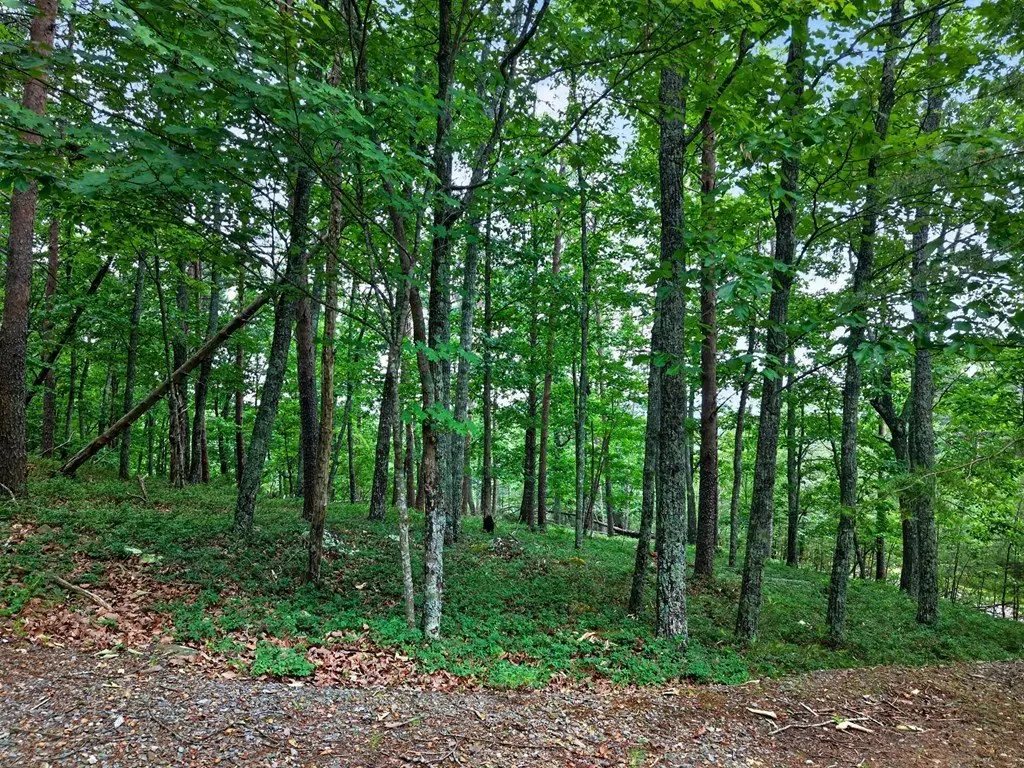 Picture 20