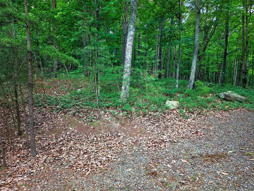 Picture 18