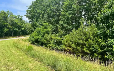 Thirteen Hundred Community Lot
