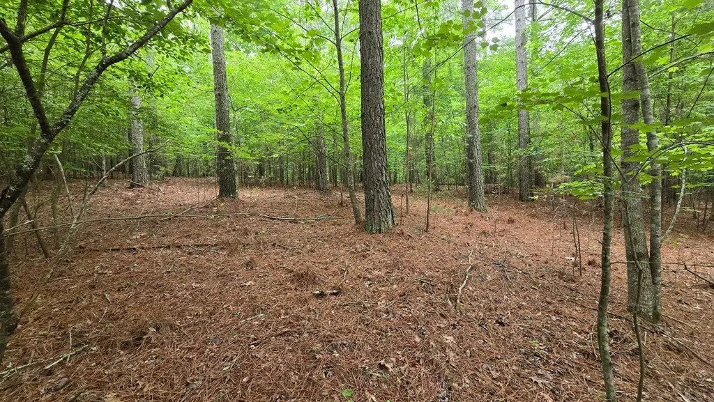 Picture 7
