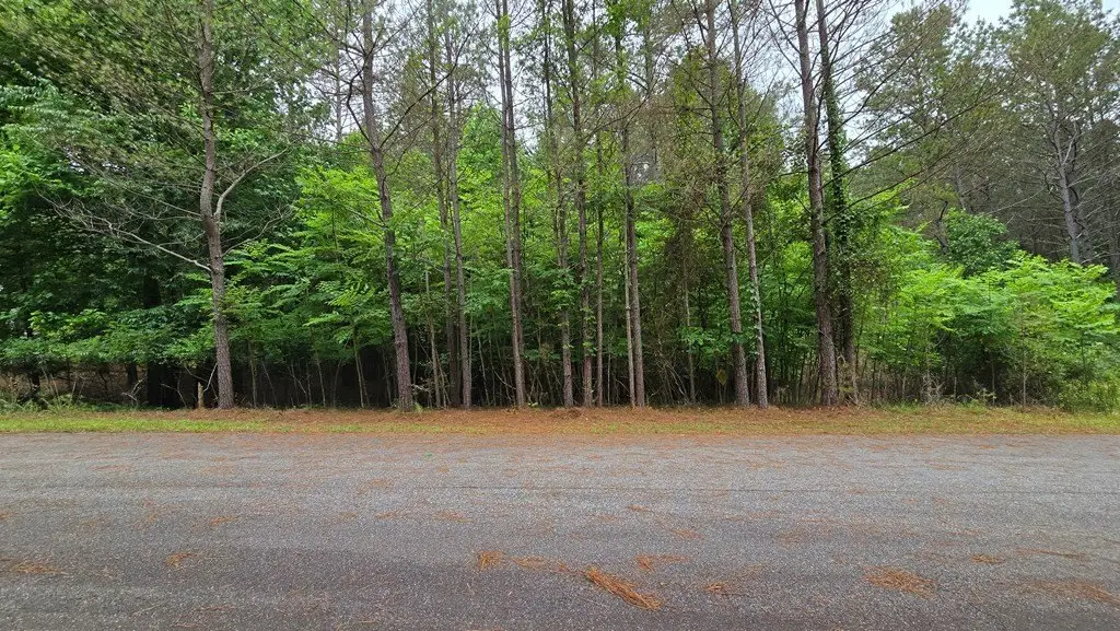 Picture 4