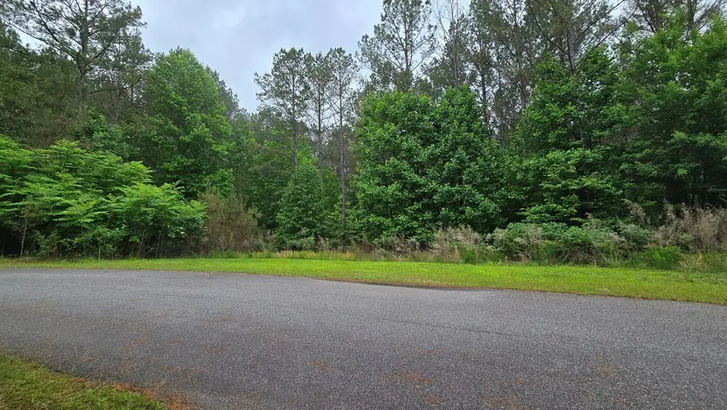 Picture 3