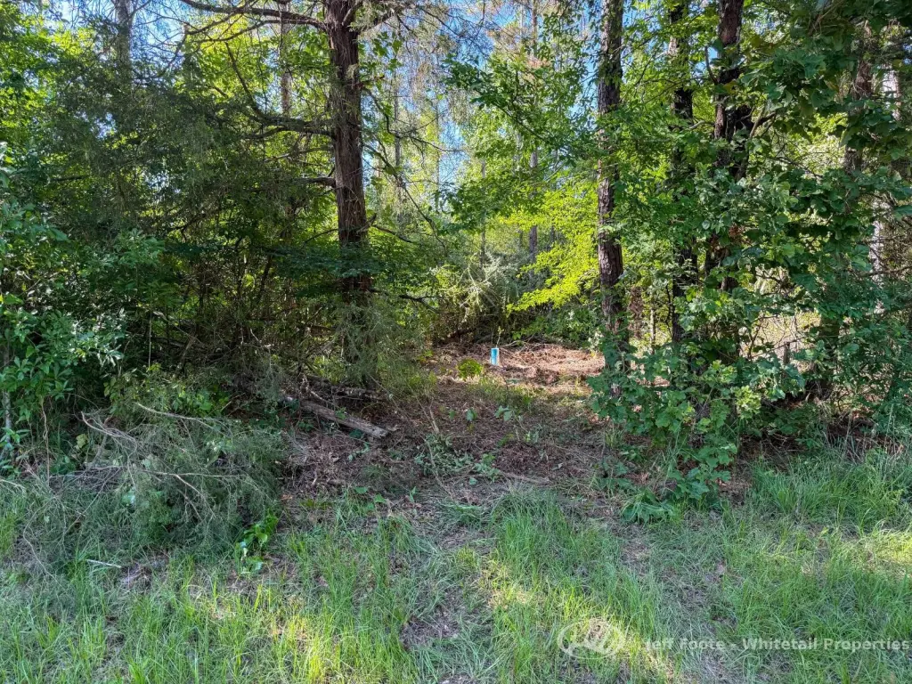 Picture 19