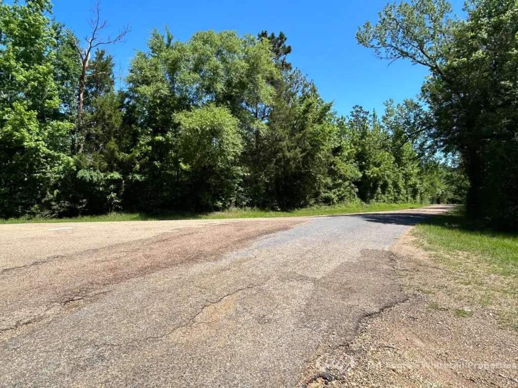Picture 21