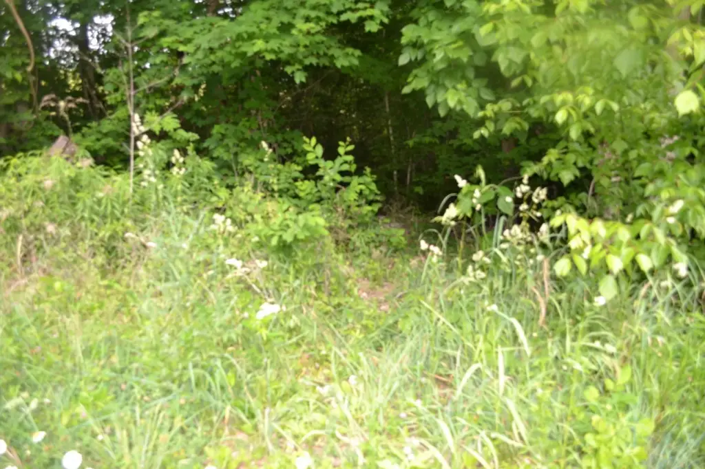 Picture 26