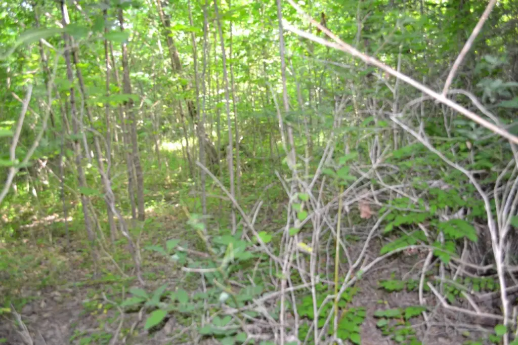Picture 15