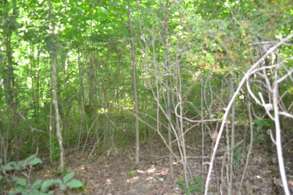 Picture 10